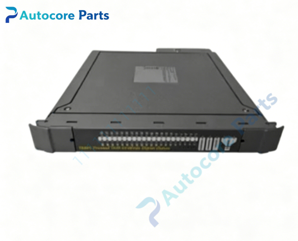 ICS TRIPLEX T9802 Digital Input Field Te